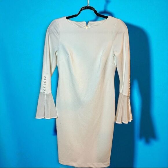Calvin Klein Chiffon-Bell Sleeve with Pearls White Dress BEAUTIFUL Sz 6.5 Petite - Picture 7 of 9